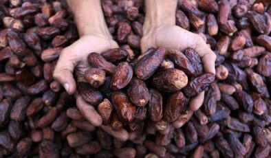 Ramazan kapıda: Hurmanın faydalarına bakalım