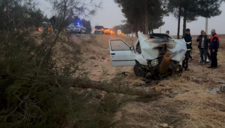Şanlıurfa’da otomobilin ağaca çarptığı kazada 4 kişi yaralandı