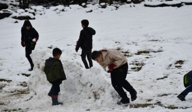Şırnak’ta karla mücadele! Köy yolları tekrar kullanıma açıldı