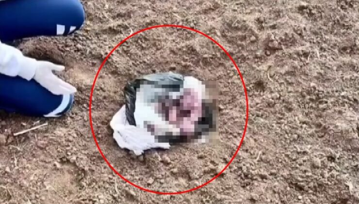 Şırnak’ta poşet içerisinde yeni doğmuş kız bebek cesedi bulundu