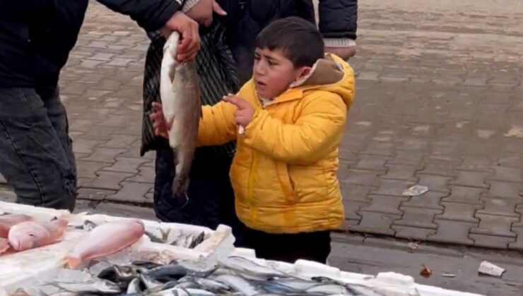 Sivas’ta istediği balığı alamayınca ağladı: Hediye edilince sarılarak uzaklaştı