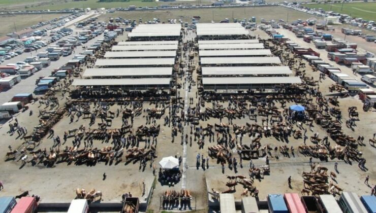 Sivas’ta şap alarmı: Şarkışla Hayvan Pazarı geçici olarak kapatıldı