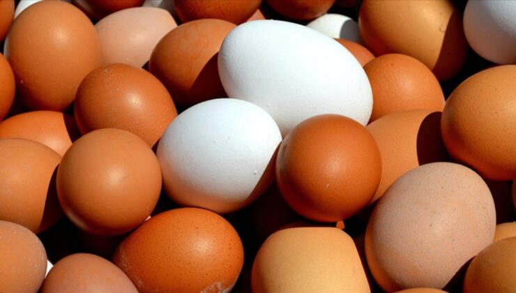 Sofralık yumurta ihracatında kilogram başına 50 sent kesinti kararı