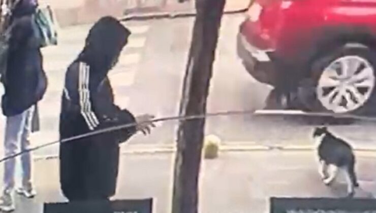 Yalova’da yere düşürülen dövizi alan şüpheli yakalandı