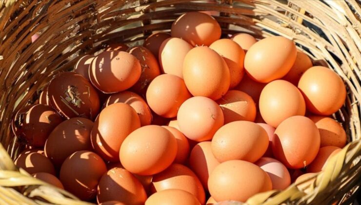 YUM-BİR: Yeterli miktarda yumurta üretimimiz var