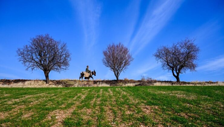 Adıyaman, bu yıl bahara erken girdi