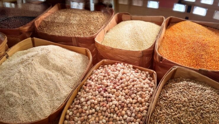 Akdeniz’den 151,1 milyon dolarlık tarım ürün ihraç edildi