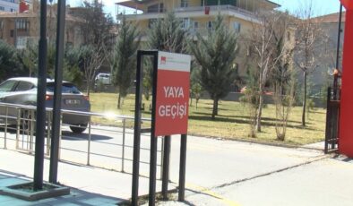 Ankara Hacı Bayram Veli Üniversitesi’nde köpek beslemek yasaklandı