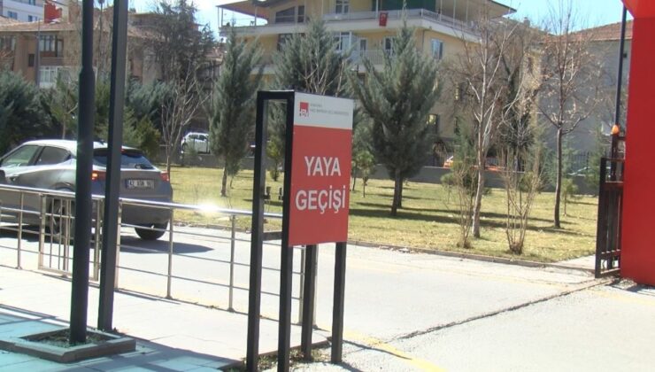 Ankara Hacı Bayram Veli Üniversitesi’nde köpek beslemek yasaklandı