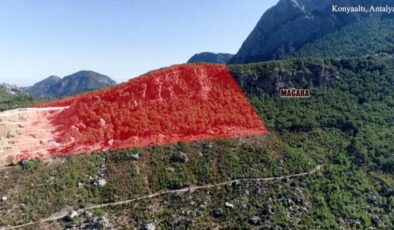 Antalya’da kalker ocağında kaçak ağaç kesimine inceleme kararı
