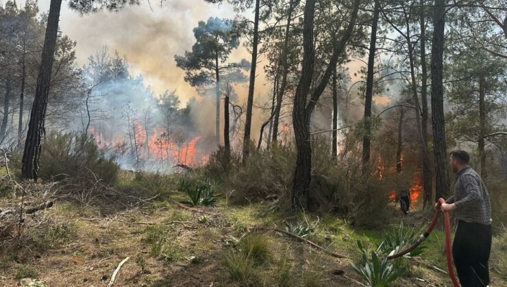 Antalya’da ormanlık alanda yangın