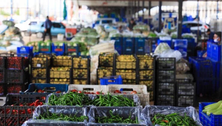 Antalya’da seraları soğuk vurunca ürünlerin fiyatı zamlandı