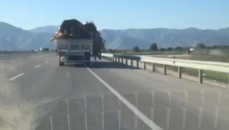 Antalya’da şoför, dökülen tahta ve tomruklara aldırmadı