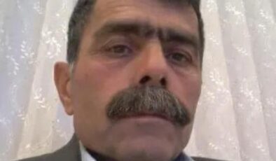 Aydın’da zeytin bahçesinde cansız bedeni bulundu