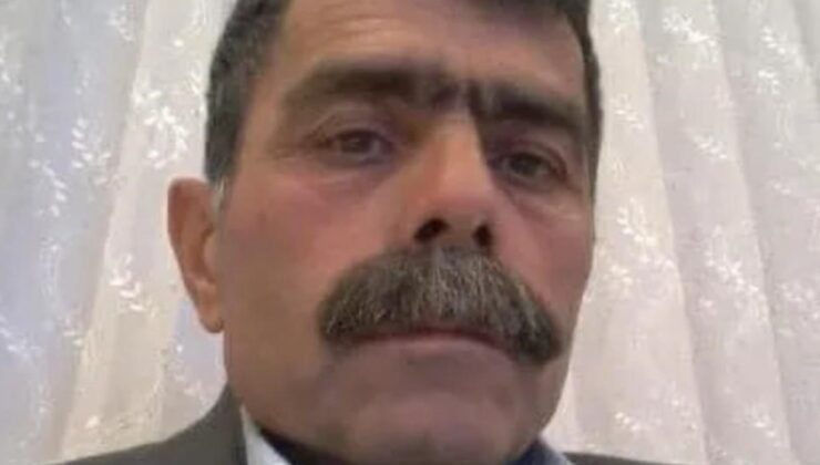 Aydın’da zeytin bahçesinde cansız bedeni bulundu