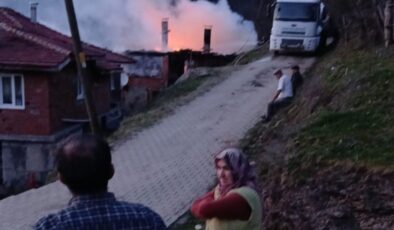 Bartın’da son anda yanmaktan kurtuldular: Çaresizce alevleri izlediler