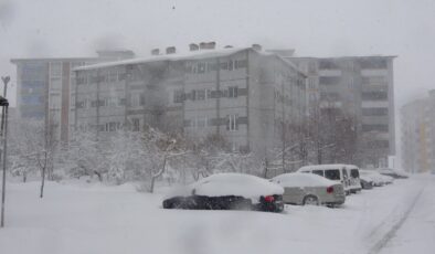 Bitlis’te 100 köy yolu kardan kapandı