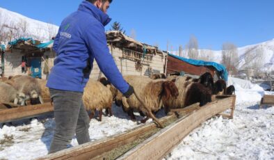 Bitlis’te besicilerin zorlu kış mesaisi