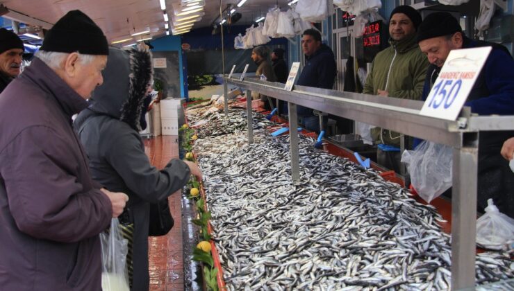 Bolu’da hamsinin fiyatı 150 liraya kadar düştü