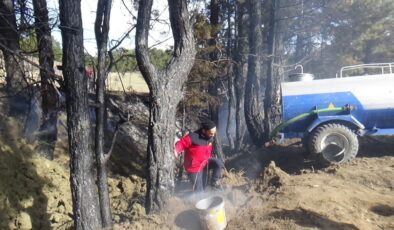 Bolu’da örtü yangını ağaçlara sıçradı: Erken müdahale faciayı önledi