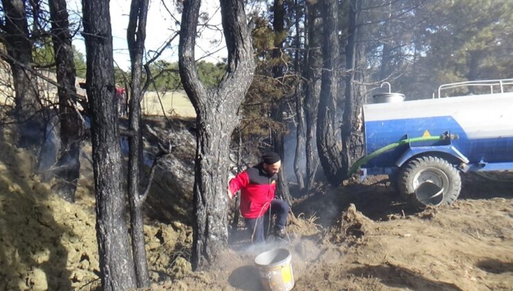 Bolu’da örtü yangını ağaçlara sıçradı: Erken müdahale faciayı önledi