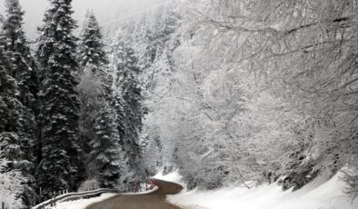Bolu’nun yayla ve ormanlarında kar güzelliği