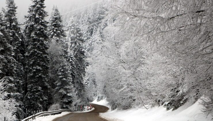 Bolu’nun yayla ve ormanlarında kar güzelliği