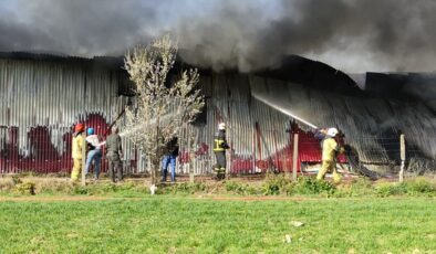 Bursa’da gül serasında yangın çıktı