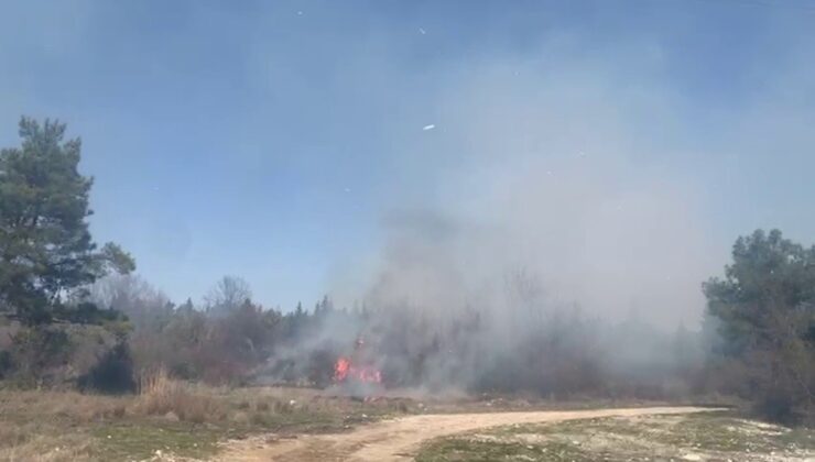 Bursa’da ormanlık alanda yangın