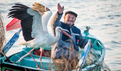 Bursa’da Yaren leylek için yuva hazırlandı