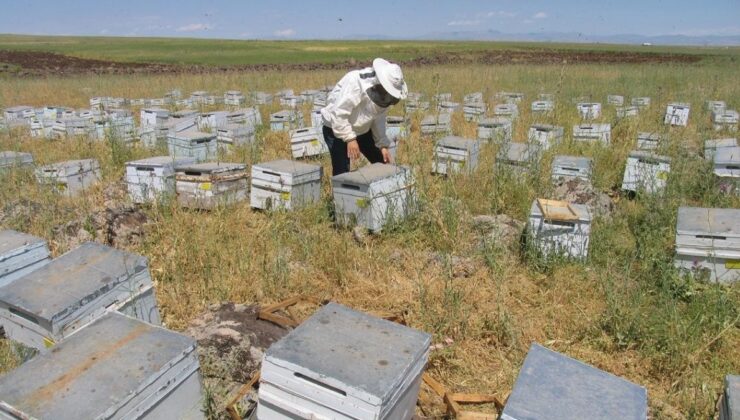 Diyarbakır’da çiftçiye 158 milyon TL hibe