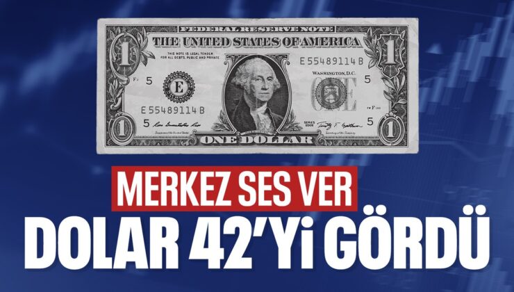 Dolar 42 lirayı geçti
