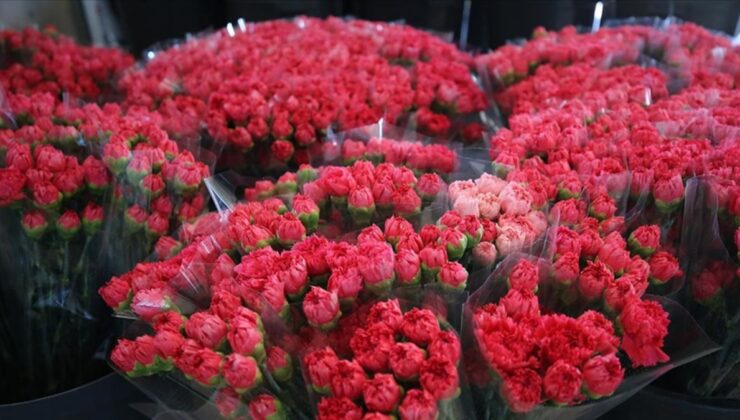 Dünya, kadınlar gününü Türkiye’den giden 75 milyon dal çiçekle kutlayacak