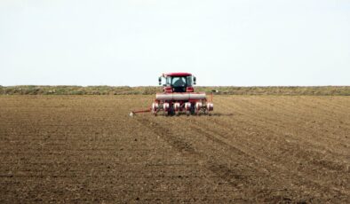 Edirne’de kuraklık korkusu ayçiçeği ekimini erken başlattı