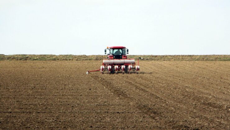 Edirne’de kuraklık korkusu ayçiçeği ekimini erken başlattı