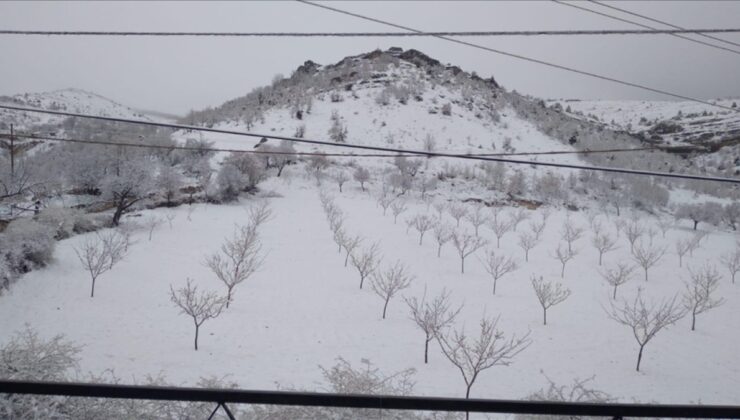 Elazığ’da çiçeklenen ağaçlar beyaza büründü