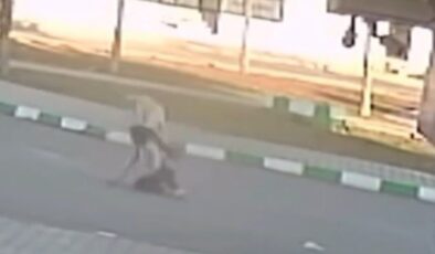 Gaziantep’te 3 öğrenciye sokak köpekleri saldırdı