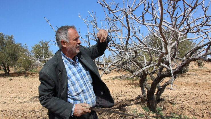 Gaziantep’te üretici gözünü bahar yağmuruna dikti