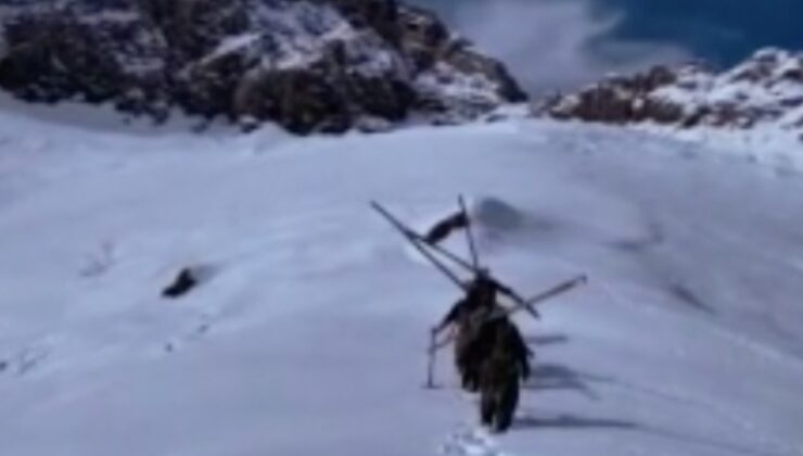 Hakkari’de besicilerin zorlu kış mücadelesi