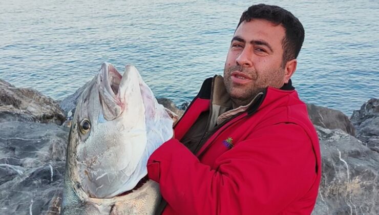 Hatay’da amatör balıkçı 65 kiloluk 2 balık yakaladı