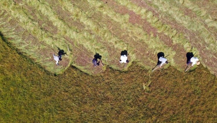 İbrahim Yumaklı: Çiftçilere 3,3 milyar lira destek bugün hesaplarda