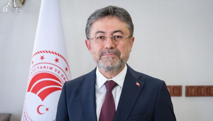 İbrahim Yumaklı: Sokak hayvanları düzenlemesine uymayanlara denetim başlatacağız