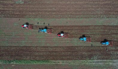 IPARD III programında 1.079 projeye, 7,2 milyar hibe verilecek