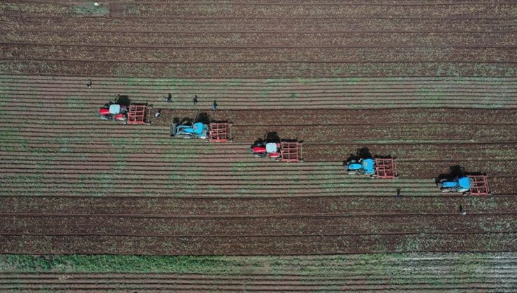 IPARD III programında 1.079 projeye, 7,2 milyar hibe verilecek