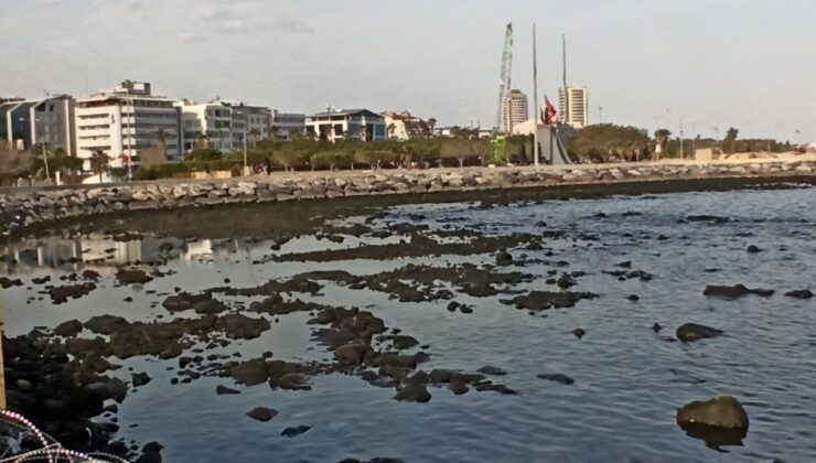İskenderun’u fırtına vurdu: Deniz çekildi