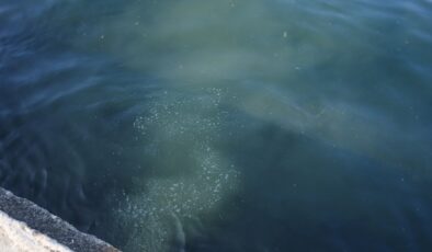 İstanbul Üsküdar’da kanalizasyon kirliliği Boğazı tehdit ediyor