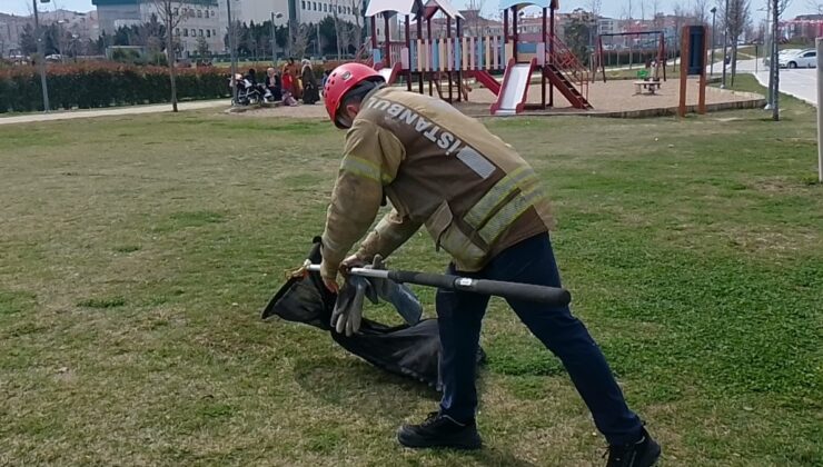 İstanbul’da bir kedi okulun havalandırma boşluğunda mahsur kaldı