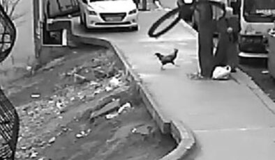 İstanbul’da horoz kadına saldırdı: Ayağa kalkınca karşılık verdi