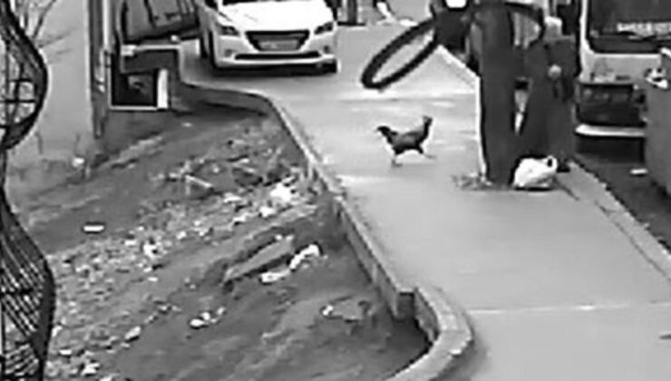 İstanbul’da horoz kadına saldırdı: Ayağa kalkınca karşılık verdi