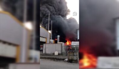 İstanbul’da kimyasal madde üretimi yapan fabrikada yangın paniği